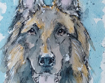 German shepherd painting in watercolour, an original one off pet portrait dog art work of a German shepherd by Ediebrae