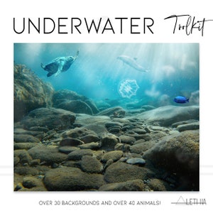 Underwater Overlays, 30 Plus Digital Backgrounds,40 plus Animals,Instant Download,Ocean Overlays,Sea