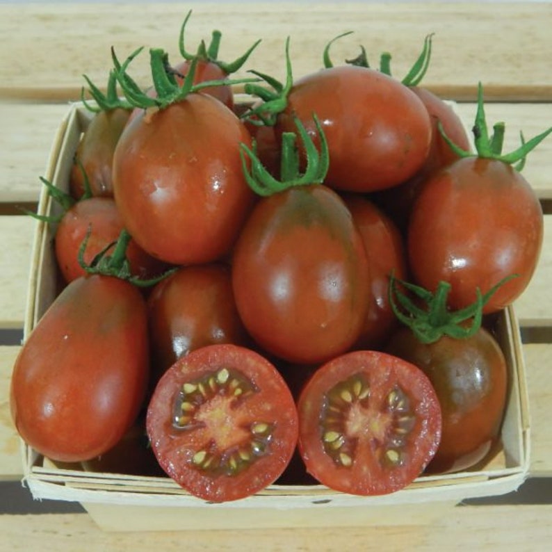 USA SELLER Black Plum Tomato 25 Seeds HEIRLOOM Etsy