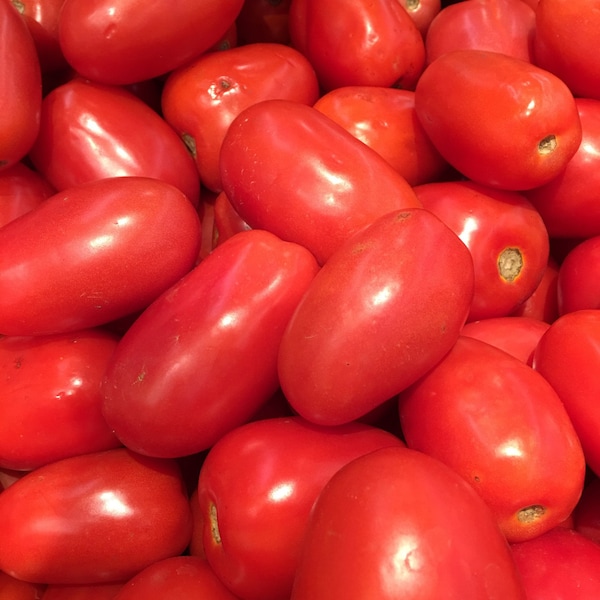 USA SELLER Andes Tomato 25 seeds HEIRLOOM Solanum lycopersicum
