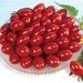 see more listings in the Red Tomatoes section