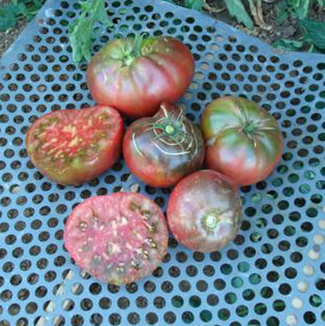 USA SELLER Black Brandywine Tomato 25 seeds HEIRLOOM Non Etsy