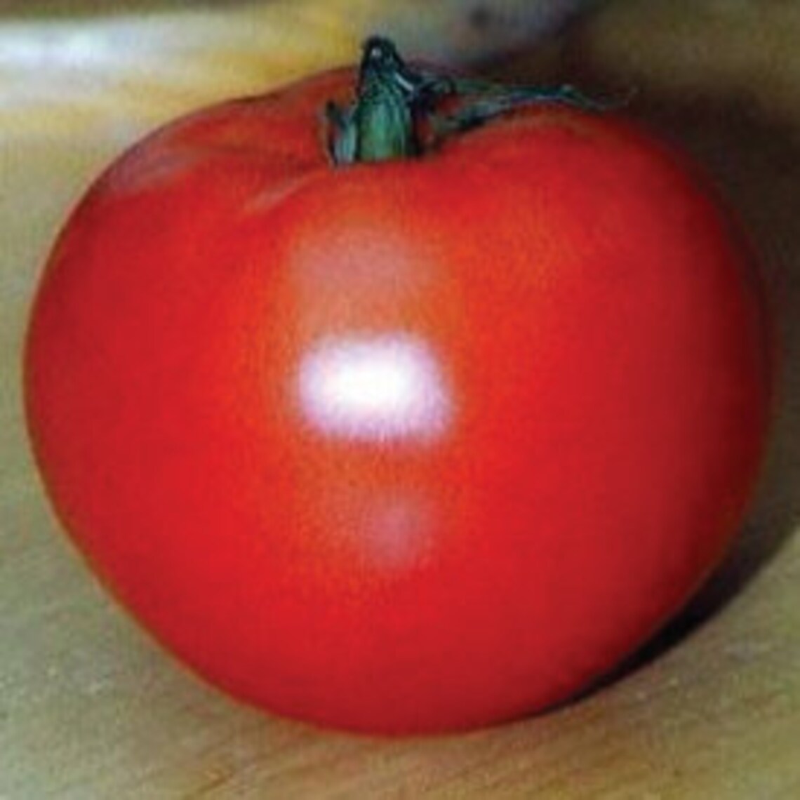 USA SELLER Jet Star Tomato 25 Seeds HEIRLOOM Etsy