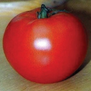USA SELLER Jet Star Tomato 25 seeds HEIRLOOM Solanum lycopersicum