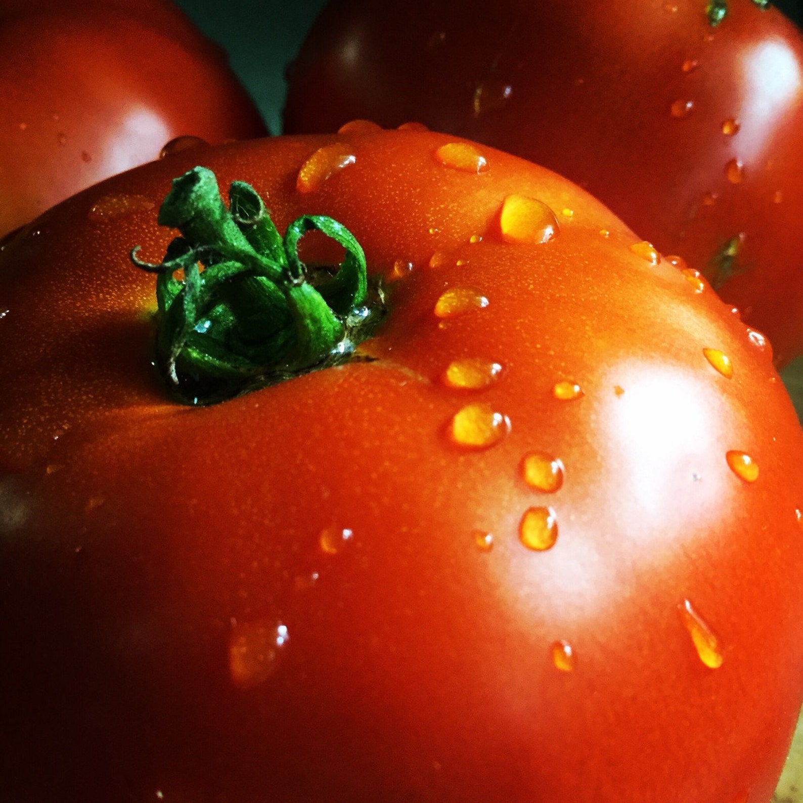 USA SELLER Early Cascade Tomato 25 Seeds HEIRLOOM Etsy