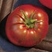 see more listings in the Black Tomatoes section