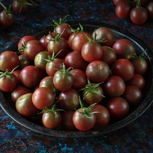 USA SELLER Black Cherry Tomato 25 seeds HEIRLOOM Non G.M.O. Solanum lycopersicum