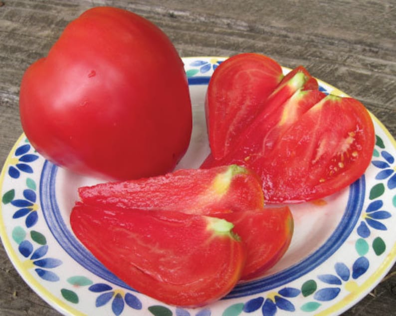 Usa Seller Anna Russian Oxheart Tomato 25 Seeds Heirloom Etsy