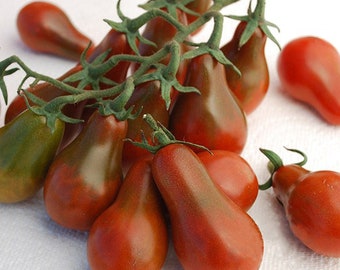 USA SELLER Chocolate Pear Tomato 25 seeds HEIRLOOM Solanum lycopersicum
