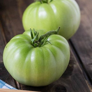 USA SELLER Green Giant Tomato 25 seeds HEIRLOOM Solanum lycopersicum