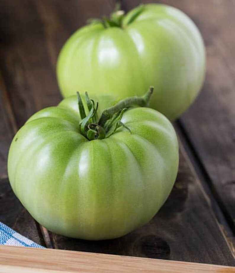 USA SELLER Green Giant Tomato 25 seeds HEIRLOOM Etsy