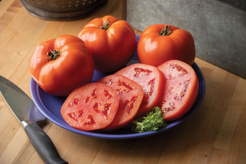 USA SELLER Bloody Butcher Tomato 25 seeds HEIRLOOM Solanum lycopersicum Bild 1