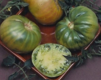 USA SELLER Aunt Rubys German Green  Tomato 25 seeds HEIRLOOM Solanum lycopersicum