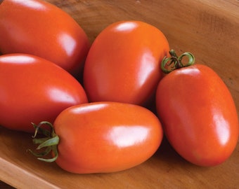 USA SELLER Amish Paste Tomato 25 seeds HEIRLOOM Solanum lycopersicum