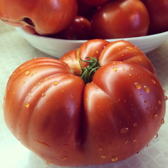 USA SELLER Manitoba Tomato 25 Seeds HEIRLOOM Etsy