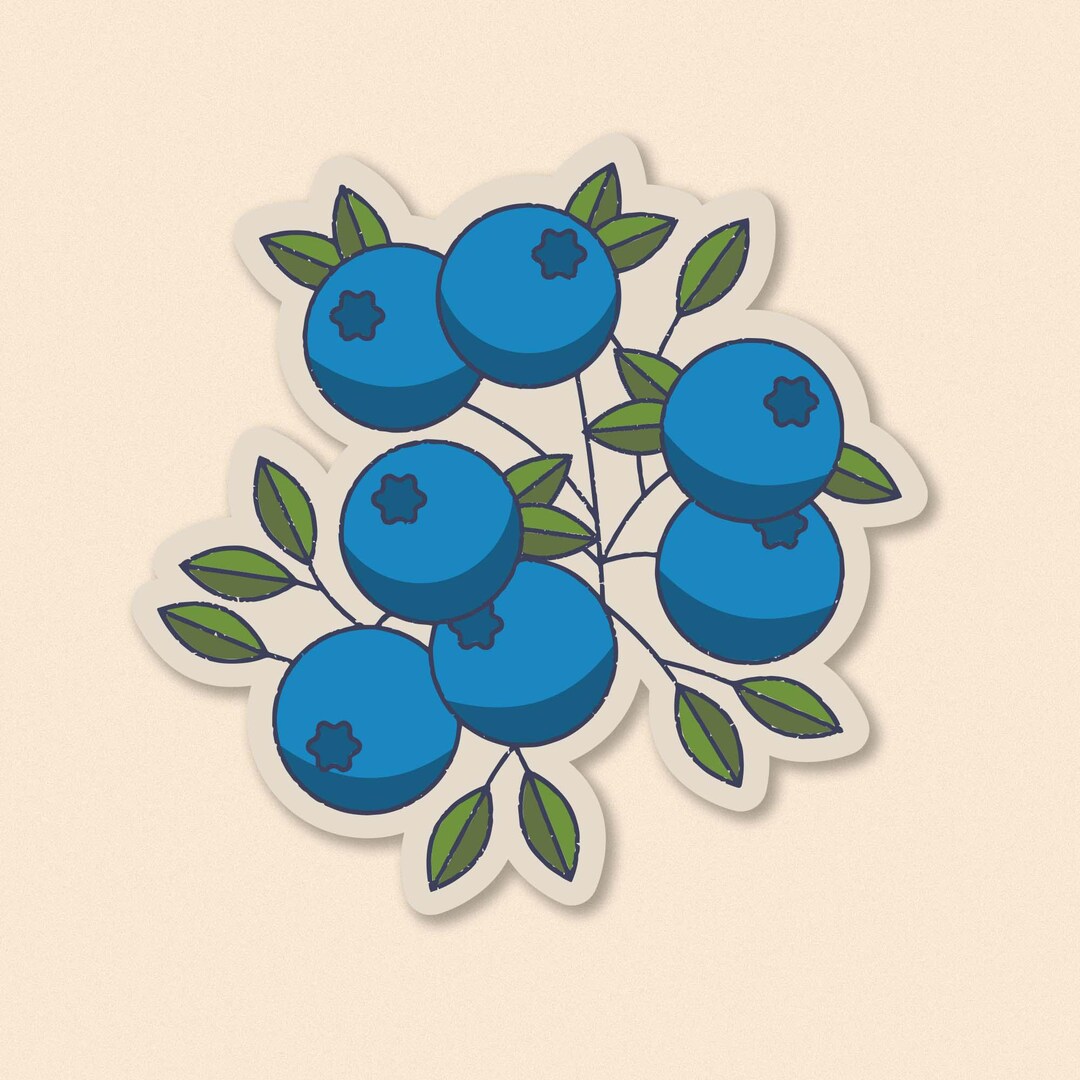 Blueberry Vinyl Sticker – Gift for Nature Lovers - Etsy