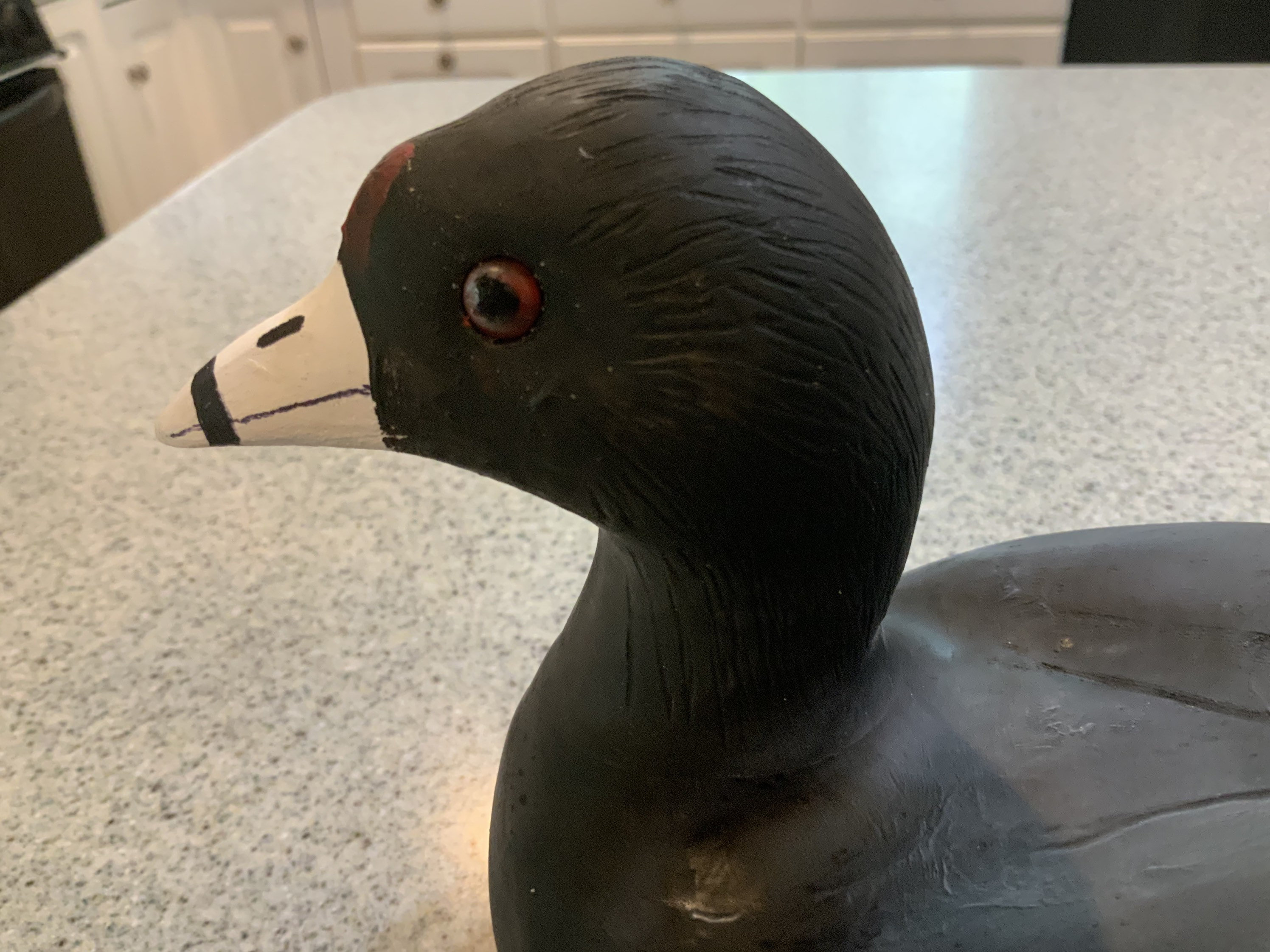 Coot Decoy Etsy UK