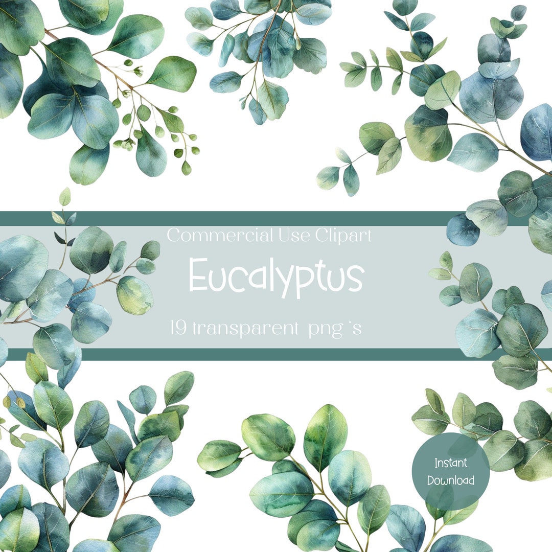 Watercolor Eucalyptus Clipart Set, Floral Botanical Graphics, Digital ...