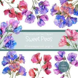 Sweet Pea Clipart Set, Floral Digital Graphics, Instant Download, Scrapbook Elements, Cute Flowers Illustrations