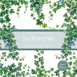 Ivy Branch Clipart Set, Botanical Clip Art, Nature Illustration, Greenery Graphics, Digital Scrapbooking, Commercial Use