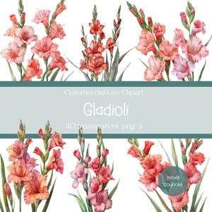 Gladioli Flower Clipart Set, Floral Graphics Bundle, Digital Download, Summer Botanical Illustrations