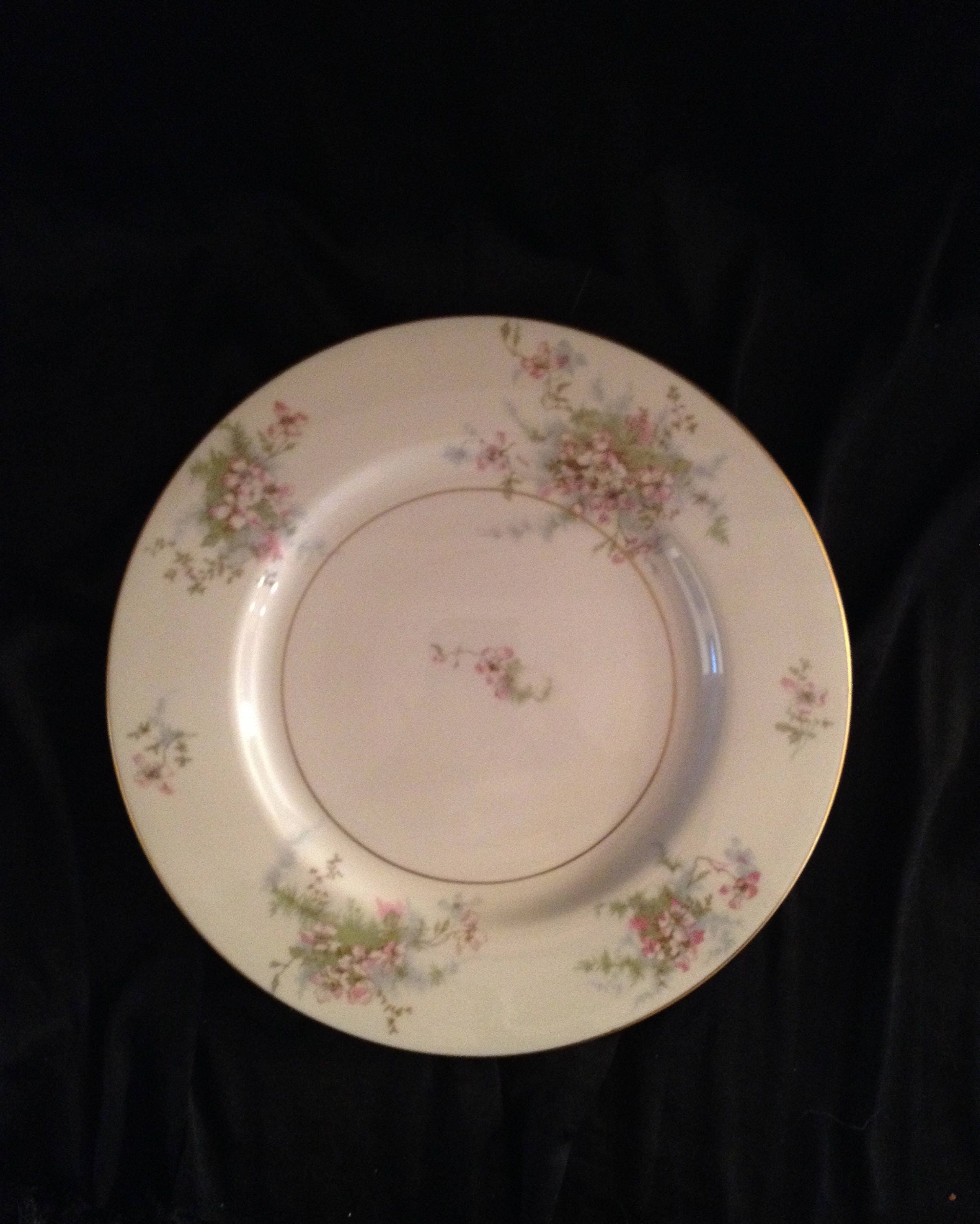 "Apple Blossom" 10 1/8" Dinner Plate Multiple Avail New York Theodore Haviland