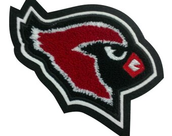 Chenille Letterman Jacket Robin Mascot Patch - M60023