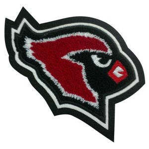 Chenille Letterman Jacket Robin Mascot Patch - M60023