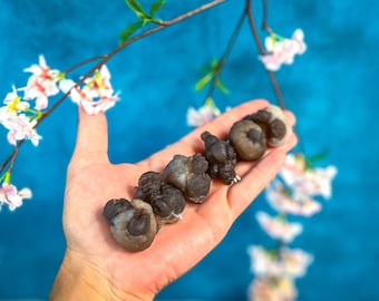 Raw TRUFFLE CHALCEDONY Specimens, also known as Womb Stone, Witches Wart Chalcedony, Chalcedony Balls