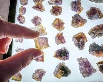 ANHUI Yellow Fluorite with Thousand Layer Purple Phantoms, RARE Minerals