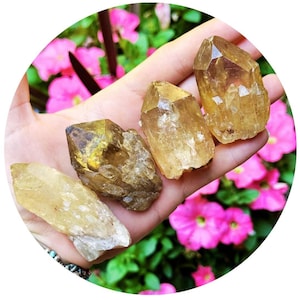 Large Natural Congo Citrine, Raw Untreated Crystal