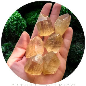 Natural Congo Citrine, Raw Untreated Crystal
