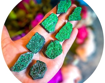 Granate uvarovita de Rusia – Raro grupo de cristales de granate verde – Ejemplar mineral natural