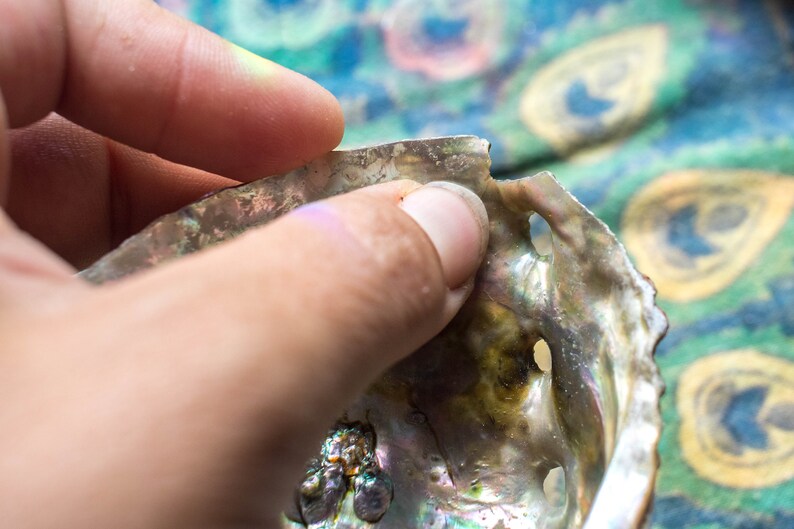 DISCOUNTED abalone shells smudge bowls colorful rainbow shells sage dish for saging huge abalone shell