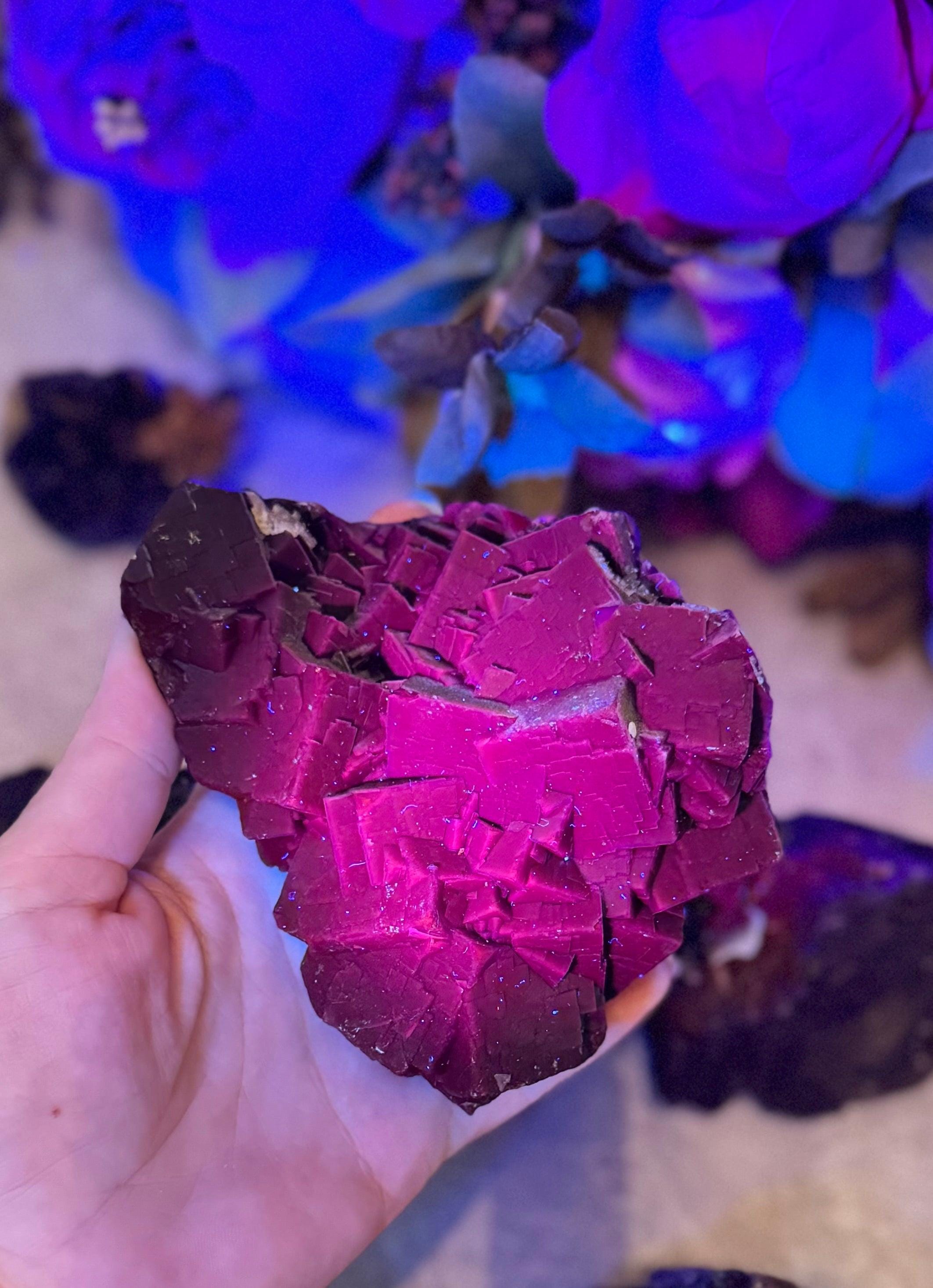 Black rose fluorite - Etsy 日本