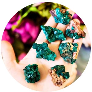 May include: A collection of vibrant, emerald-green mineral specimens, some with a contrasting brown matrix, are displayed in a hand. The crystals exhibit a sparkling, crystalline structure, suggesting their natural formation. The background is blurred with pink and green hues.