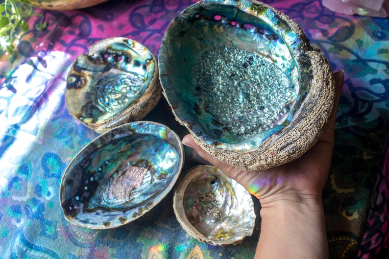DISCOUNTED abalone shells smudge bowls colorful rainbow shells sage dish for saging huge abalone shell