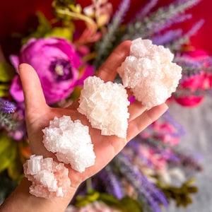 Puede incluir: Una mano sostiene varios cristales naturales en bruto. Los cristales varían en tamaño y forma, con tonos blancos y rosa pálido. El fondo presenta un vibrante ramo de flores rosas, moradas y verdes.