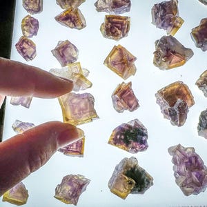 ANHUI Yellow Fluorite with Thousand Layer Purple Phantoms, RARE Minerals