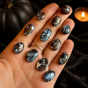 May include: A collection of eleven oval-shaped cabochons featuring a dark brown to black base color with intricate, web-like white and iridescent blue veining patterns. Each polished stone displays a unique crackled texture across its surface.