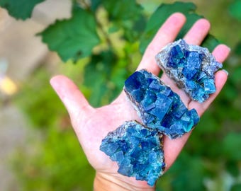 Hidden Forest Pocket Fluorite Clusters, Diana Maria Mine, Daylight Fluorescent Fluorite