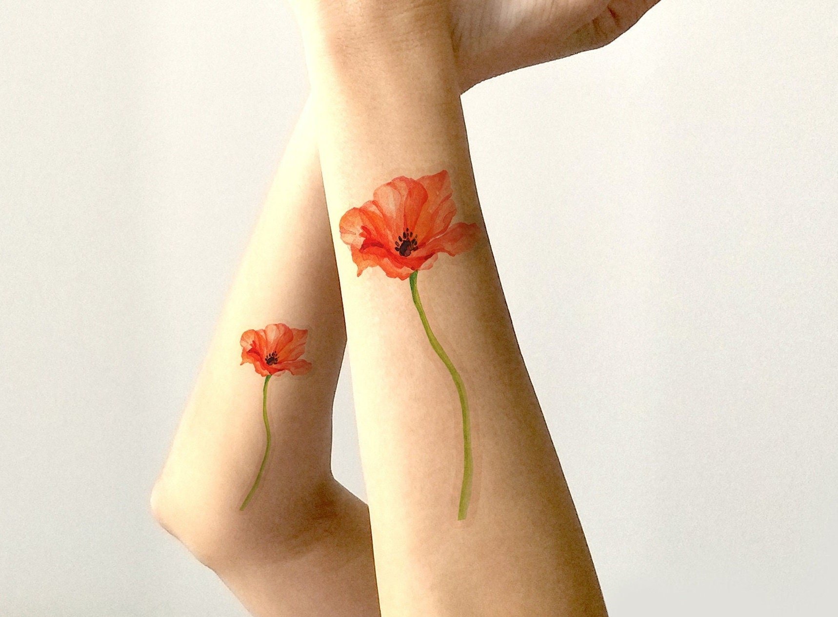 Poppy Flower Tattoos  Natasha Tsozik