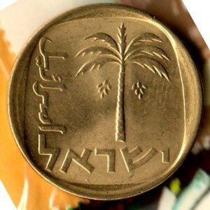 10 agorot Israel, date palm tree 1960-1977