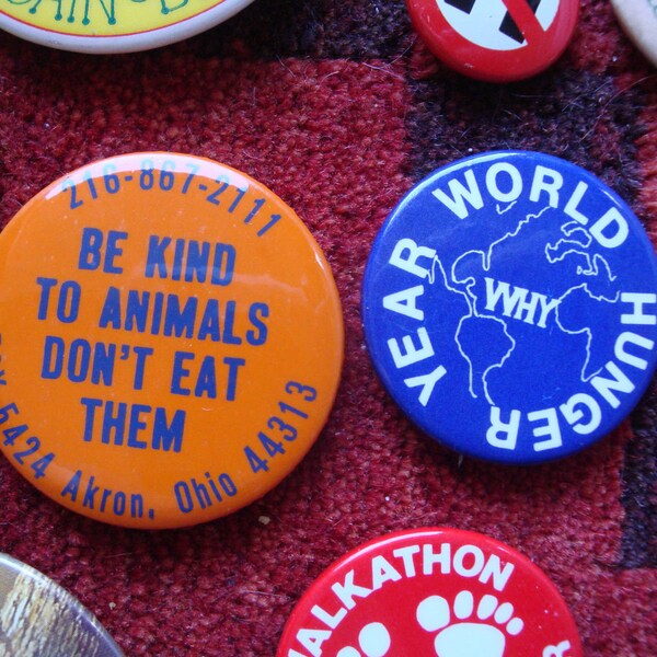 lot of 19 political buttons. Native American, Hunger, Animal rights, Organic Farming