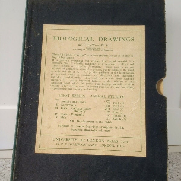 1934 Dibujos biológicos Conjunto educativo Clotilde von Wyss Universidad de Londres Prensa Animal Insecto Anatomía Polluelo Libélula Rana Pájaro Ameba