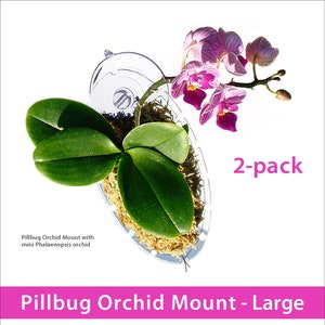 Pillbug Orchid Mount - Large 2-pack