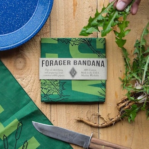 May include: A green bandana with a white border and the text "FORAGER BANDANA" printed on it. The bandana has a green and white pattern of plants and the text "Tips on identifying and preparing seven common edible plants". The bandana also has a small white square with the text "COLTER & CLAY" printed on it. The bandana is lying on a wooden surface with a knife and a plant.