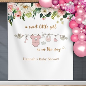 A Sweet Baby Girl is on Her Way Baby Shower Backdrop Pink Floral Clothesline Banner Baby Sprinkle Photo Booth Backdrop Twins Shower 01BS06
