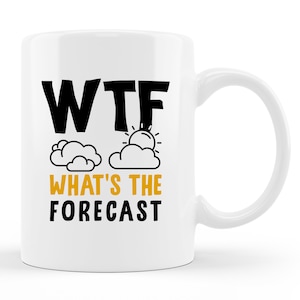 Meteorologist Mug. Meteorologist Gift. Meteorology Student. Meteorology Mug. Meteorologist Coffee. Weatherman Gift. Funny #d2073