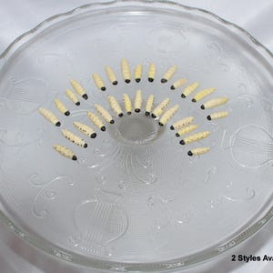 May include: A white glass plate with a decorative pattern, featuring a circular arrangement of small, white, and black insect larvae.
